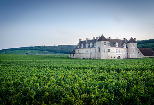 wine tour burgundy