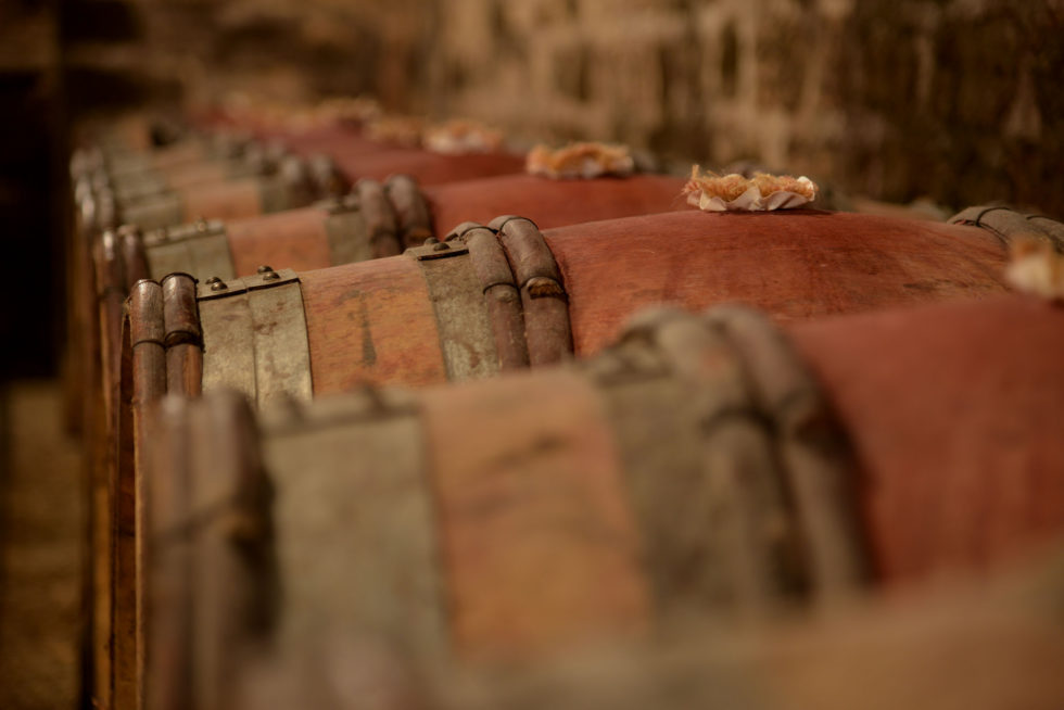 Burgundy Wine Tours Heritage and Vineyards Authentica Tours